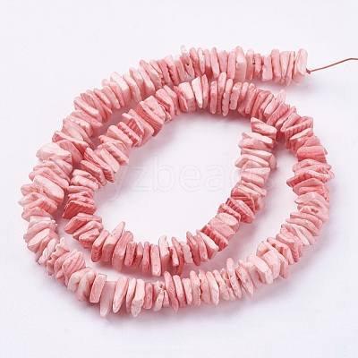 Natural Sea Shell Beads Strands X-BSHE-K012-08D-1