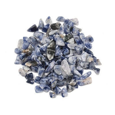 Natural Blue Spot Jasper Beads G-K397-02-1