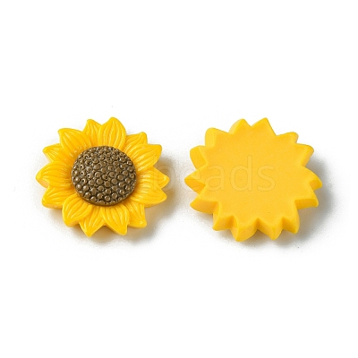 Opaque Resin Cabochons RESI-H146-02A-1