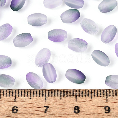 Frosted Glass Seed Beads SEED-N008-05I-1