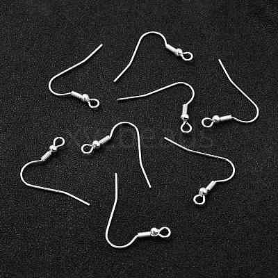 304 Stainless Steel Earring Hooks STAS-L258-001B-S-1