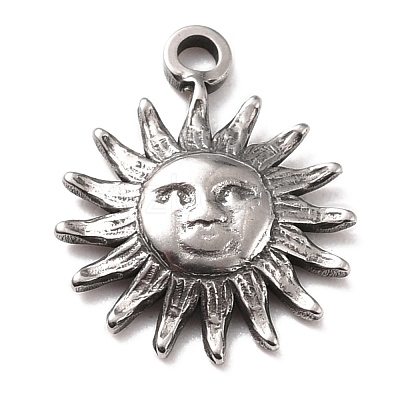 Non-Tarnish 304 Stainless Steel Charms STAS-B024-66P-1