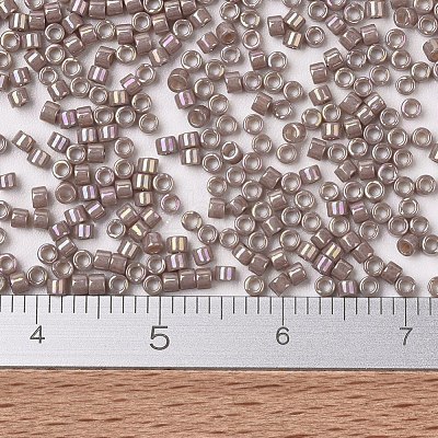 MIYUKI Delica Beads X-SEED-J020-DB2271-1