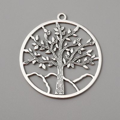 Tibetan Style Alloy Pendants FIND-WH0110-203-1