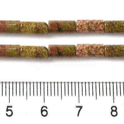Natural Unakite Beads Strands G-B091-A02-01-1