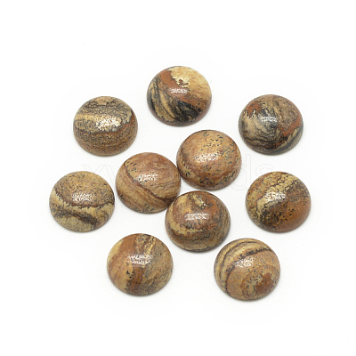 Natural Picture Jasper Cabochons X-G-R416-12mm-42-1