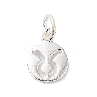 925 Sterling Silver Constellations Charms STER-M118-01B-1