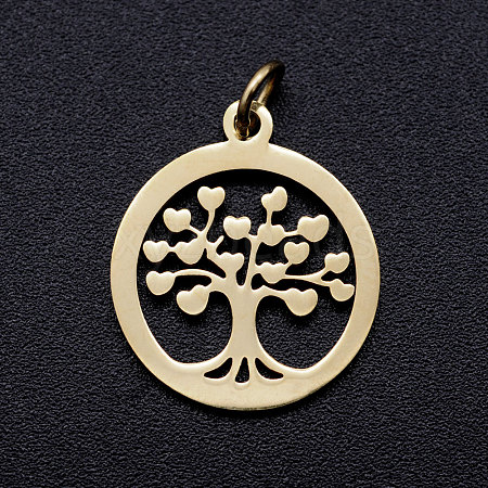 304 Stainless Steel Pendants STAS-T046-JA350-2A-G-1