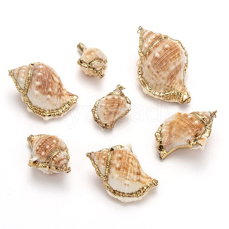 Natural Spiral Shell Pendants SSHEL-E556-06-1