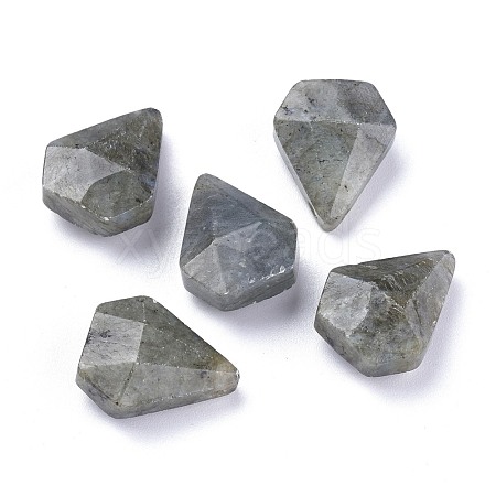 Natural Labradorite Pendants G-L564-002-C01-1