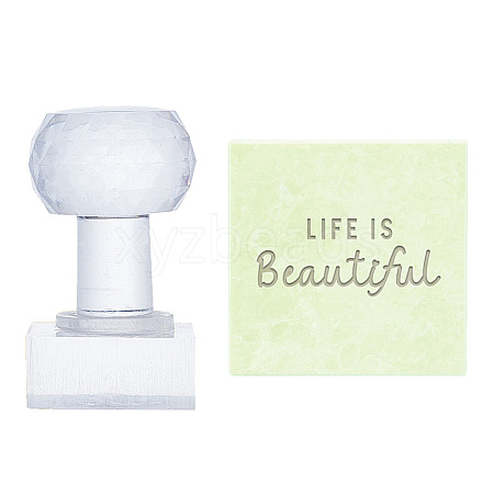 Clear Acrylic Soap Stamps DIY-WH0446-005-1