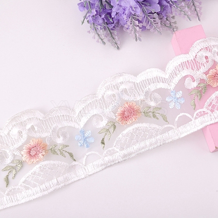 Polyester Lace Trim Ribbons PW-WG55501-01-1-1