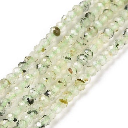 Natural Prehnite Beads Strands G-E194-06-1