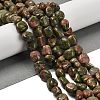 Natural Unakite Beads Strands G-P497-01E-48-2