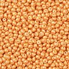 6/0 Glass Seed Beads SEED-L011-08A-19-3