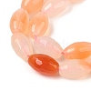 Natural Agate Beads Strands G-Q194-B01-01A-4