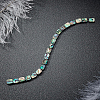 Natural Abalone Shell/Paua Shell Beads SSHEL-BC0001-10-6