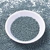 MIYUKI Delica Beads SEED-X0054-DB1172-2