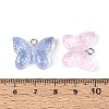 Transparent Resin and Glitter Powder Pendants RESI-T061-19M-4