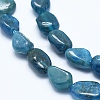 Natural Apatite Beads Strands G-E483-41A-3