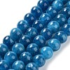 Dyed Natural Malaysia Jade Beads Strands G-G021-02C-10-1