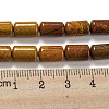 Natural Petrified Wood Beads Strands G-M420-E06-03-5