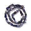 Natural Sodalite Beads Strands G-E115-01-3