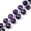 Natural Amethyst Beads Strands G-G182-B50-05-1