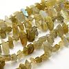 Natural Labradorite Beads Strands G-K202-11A-1