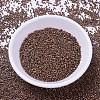 MIYUKI Delica Beads SEED-X0054-DB0340-2