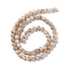 Drawbench Style Natural Freshwater Shell Beads Strands X-SHEL-F003-10B-3