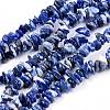 Natural Sodalite Chips Beads Strands X-F024-1