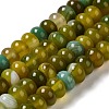 Natural Agate Beads Strands G-H295-C03-13-1