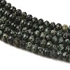 Natural Seraphinite Beads Strands G-K376-E06-4x6mm-4