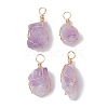 Raw Rough Natural Amethyst Copper Wire Wrapped Pendants PALLOY-JF02787-02-1