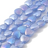 Glass Beads Strands GLAA-G104-05B-1