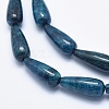 Natural Apatite Beads Strands G-K256-41B-3