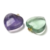 Natural Fluorite Pendants G-C155-02A-G-2