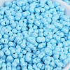 Baking Paint Glass Seed Beads X1-SEED-K010-A20-2