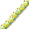 Handmade Lampwork Beads Strands LAMP-D015-07F-1