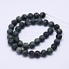 Natural Kambaba Jasper Beads Strands G-D744-6mm-2