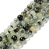 Natural Prehnite Beads Strands LS-G-P322-48-6mm-01-1