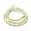 Glass Seed Bead Strands LAMP-B021-04B-3