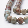 Natural Aqua Terra Jasper Strands X-G-S150-50-6mm-3