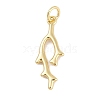 Brass Pendants KK-Q028-66G-1