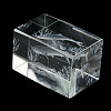 3D Laser Engraving Animal Glass Figurine LS-DJEW-R013-01B-5