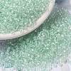 MIYUKI Round Rocailles Beads SEED-G008-RR3642-1