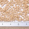MIYUKI Delica Beads Small X-SEED-J020-DBS0389-4