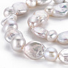 Natural Keshi Pearl Beads Strands PEAR-S018-01A-4