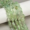 Natural Prehnite Beads Strands G-R445-8x10-25-01-1